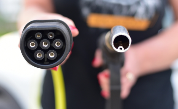 De paashaas bracht lekkers over hybride wagens 