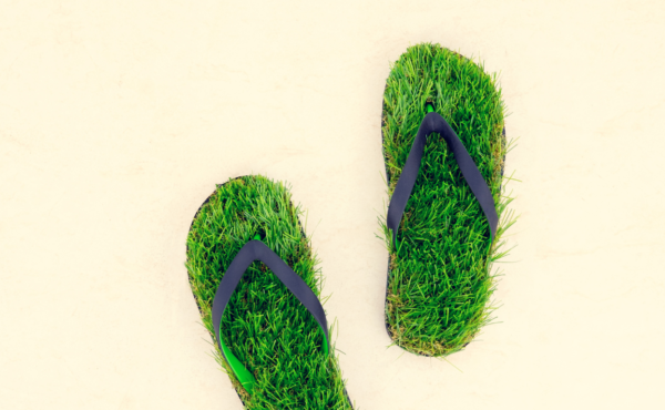 Accountantsburo Lauwers s'engage pleinement et de façon structurée en faveur de l'entrepreneuriat durable