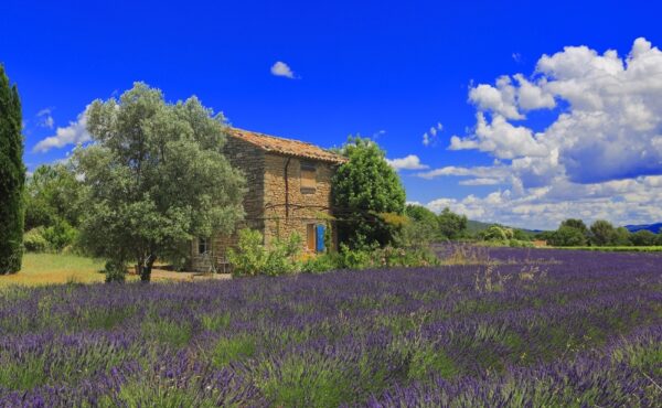 Nieuwe verplichtingen voor eigenaars van Frans vastgoed