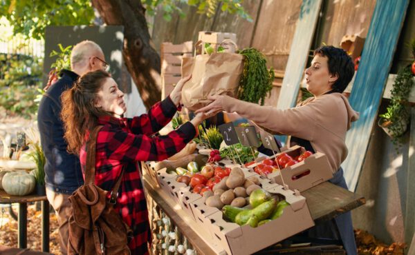 Le taux d’intérêt du marché pour les intérêts créditeurs sur compte courant passe à 8,02 %